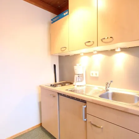 In Austria Near Slopes Apartmán *