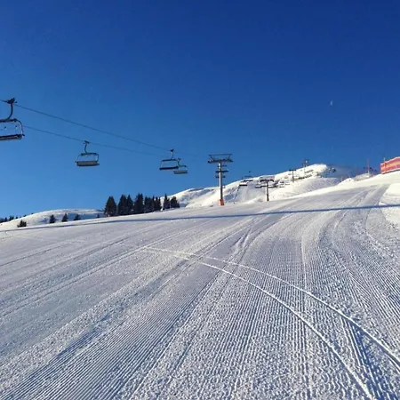 Appartement In Austria Near Slopes Mittersill