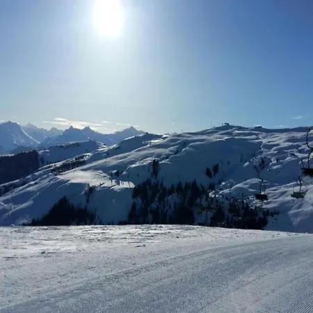 In Austria Near Slopes Appartement
