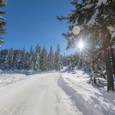 In Austria Near Slopes Apartmán *