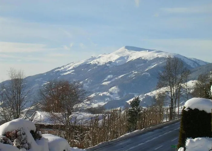 In Austria Near Slopes * Mittersill