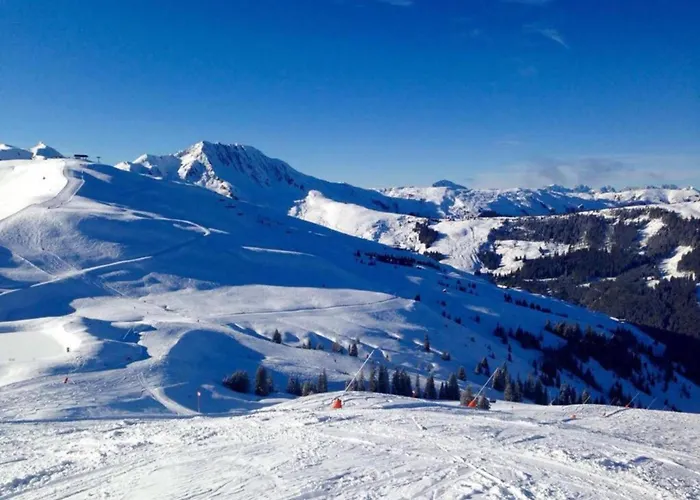 In Austria Near Slopes * Mittersill